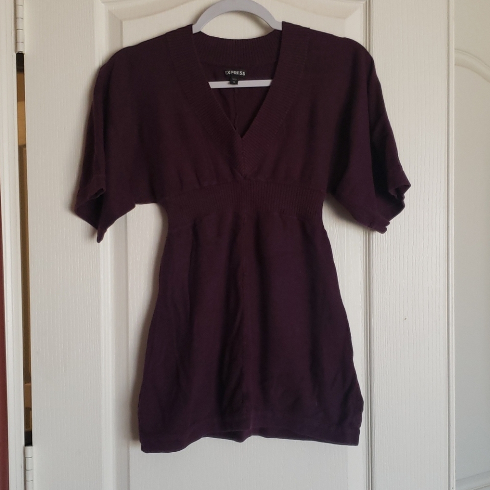 Express maroon sweater tunic